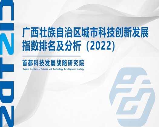 呃呃嗯呐嗯呐～水流出来了【成果发布】广西壮族自治区城市科技创新发展指数排名及分析（2022）